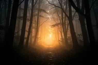 A winding path through a dark forest leading toward a brilliant sunrise, symbolizing a journey of faith