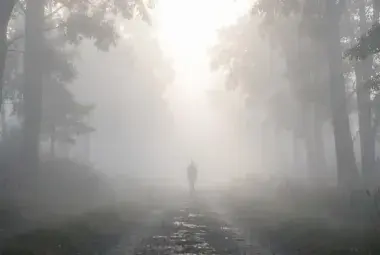 A solitary figure walking a path that disappears into soft, luminous morning fog in a forest, symbolizing trust in the unseen and the wisdom found in life's uncertain, in-between moments