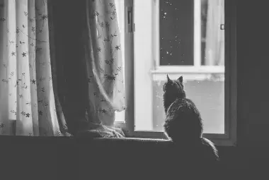 stillness.. nothing to prove