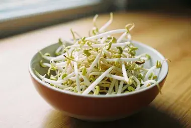 Fresh bean sprouts in a bowl showing vibrant green nutrition