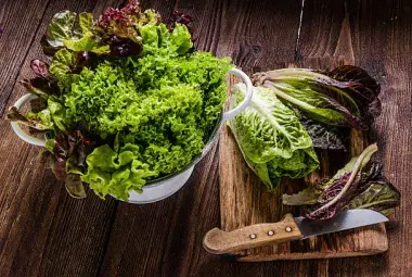 Assorted Lettuce Varieties Displayed Fresh and Crisp