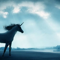 🦄 Imaginary Unicorn (Just for fun!)