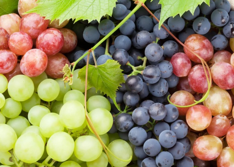 Grapes 🍇