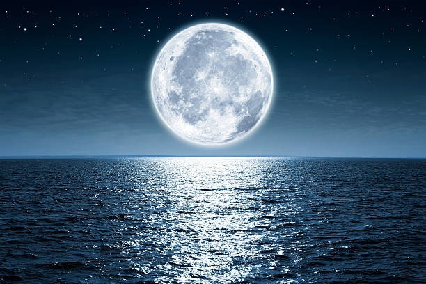 What is the largest ocean on Earth?