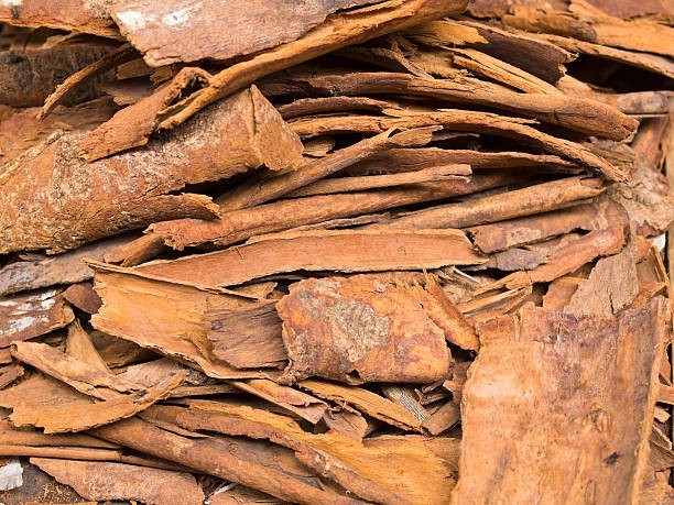 Which spice comes from the inner bark of a tree?