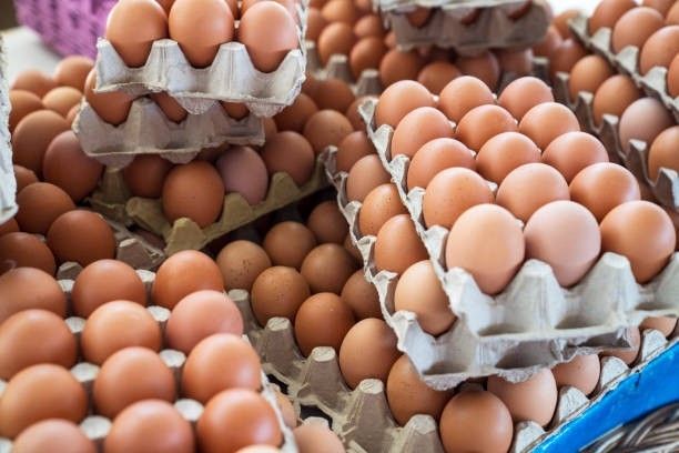 🥚 Eggs