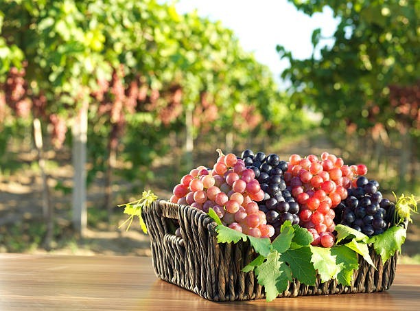 🍇 Grapes (Especially Red & Purple)
