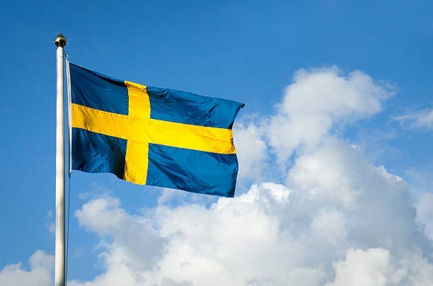 🌍 They Put Sweden on the EDM Map