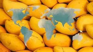 🌏 A Global Superstar