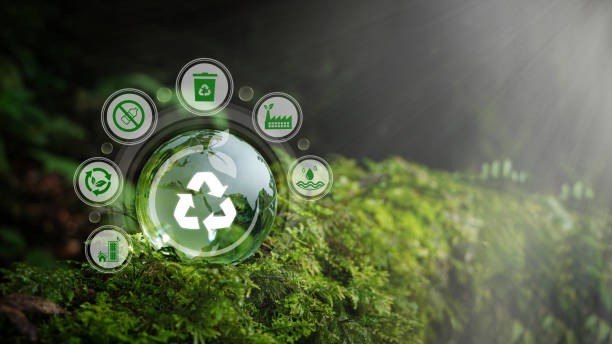 🌍 Sustainable Steps