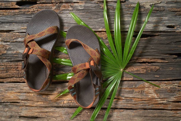 🌿 Sustainable Steps