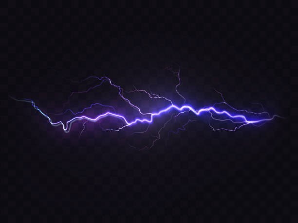 Which fish can produce electricity?