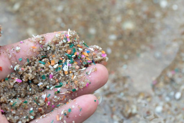 Microplastics are everywhere.