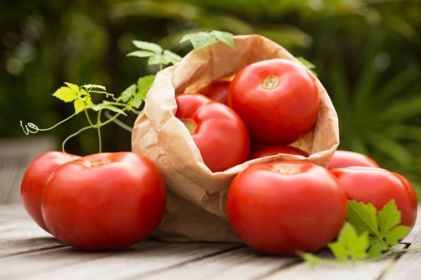 Tomatoes 🍅