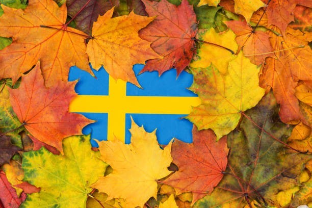 Sweden loves them so much, there’s a special day!