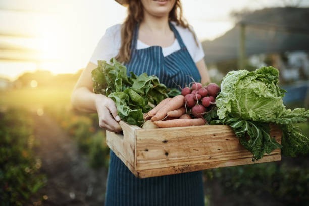 Know what’s in season.