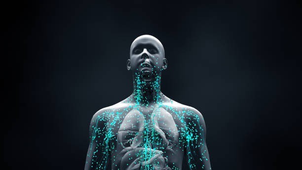 Which part of the human body continues to grow throughout life?