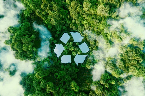 What is the best first step in the “reduce, reuse, recycle” motto?