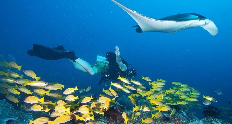 Raja Ampat, Indonesia