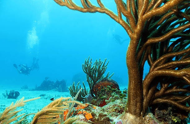 Cozumel, Mexico