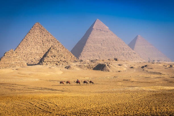Lettuce Dates Back to Ancient Egypt
