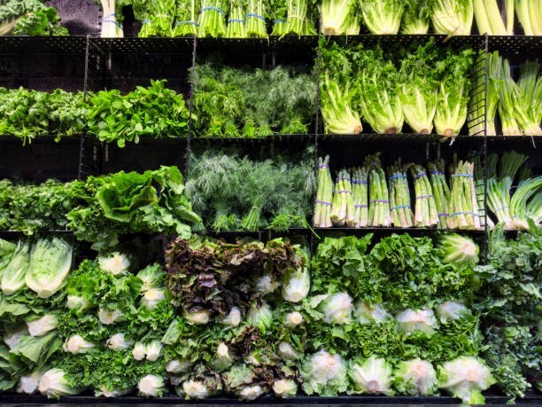 There Are Hundreds of Lettuce Varieties