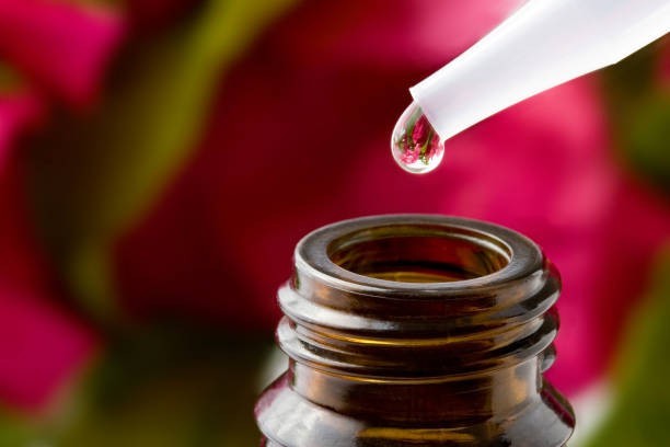 Rose Oil Is One of the Most Expensive Essential Oils