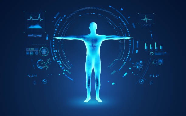 Which organ in the human body can regenerate itself completely?